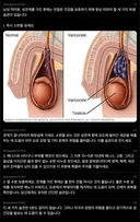 ㅅㅅ한 후에 꼭 해야하는 습관 .jpg