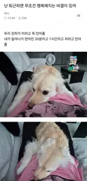 난 퇴근하면 무조건 행복해지는 비결이 있어