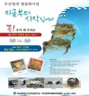 생태계 교란하러 왔다가 한국인한테 개체수 관리 당하는 중