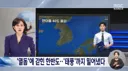 돌고래 녀석, 결국 실패하고 말았군....
