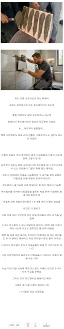 오늘 베스트 갔던 떠발이 타일 쉴드(?) 글