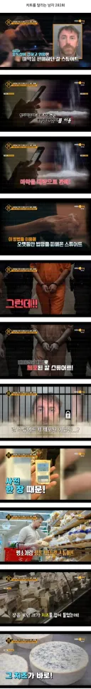 치즈때문에 잡힌 ㅁ약사범