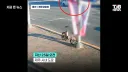 뜻 밖의 실적을 올려버린 경찰들