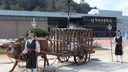 지금 여기 한페이지만 해도 정치글이 4~5개는 되는군요.