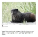 온리팬스로 학계를 일으킨 과학자들