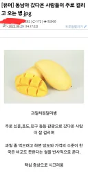 동남아 갔다오면 걸리고 온다는 병.jpg