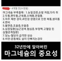 마그네슘의 중요성.jpg