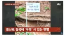 정신나간 등산모임 놈들