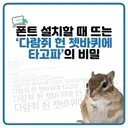 '다람쥐 헌 쳇바퀴에 타고파'의 비밀.jpg