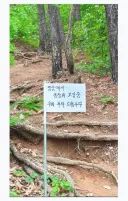 요즘 등산 근황