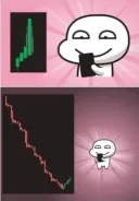 한국 개미들 근황
