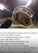'아 이새끼 고기 존나 빨리 처먹네' / '아 이새끼 고기 존나 빨리 처먹네'