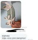당근에 개집 올렸는데 문의 옴