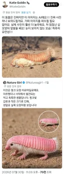요즘 상당수 정보성 글이 짜치는 이유