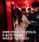 논란의 성매매여성 지원금