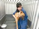 너무 많은 개를 안락사 시킨 것에 괴로워 결국 자살한 수의사