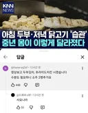중년에 좋은 식단