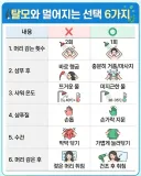 탈모와 멀어지는 습관 6가지