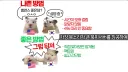 애플)근데 아이폰 단자 여전히 2.0임?