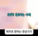 제주항공 비상착륙 실제 상황
