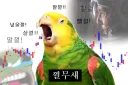 주식) 최근장 한짤 요약