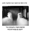 여러분은 지난 날 피로로 인해 푹 자고 일어났더니 고양이가 되어 있다면?
