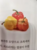 파프리카는 모든색깔 다 좋아...