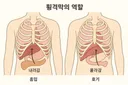 딸꾹질할때 자의로 멈추는 법 전수