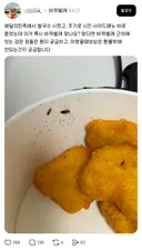 배달음식 끊고싶어지는 사진.jpg (벌레 사진 주의)