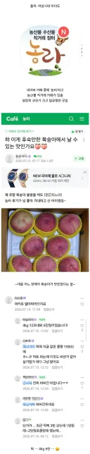 농협 사라지면 농산물 거래가 클린해질거라는 착각