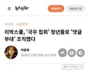 댓글부대 기사