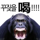 fmv 장르 차별 심하네 근데