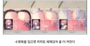젠레스)레미엘 수영복 사야겠다