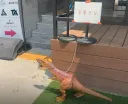 솔직히 이거 입마개 해야되는거 아니냐???