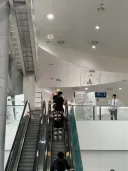 (일페) 오늘 부일페에 나타난 험한거