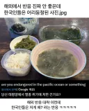 해외에서는 반응이 별루인 밥상