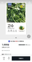 다이소 고수 개잘자람