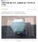 기록적 폭염 덮친 전국..온열질환 늘고 가축 폐사야구 취소