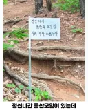 정신 나갔다는 등산 동호회 근황.jpg