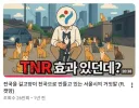 새덕후) 냥신TV 반박 - 2-2. 한국에서 TNR의 성공적 케이스에 대한 반박