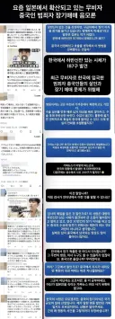 일본 귀화 드립치던 일뽕이 했던 개소리 주장 요약