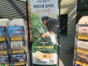 거제 파인에플 다쿠아즈