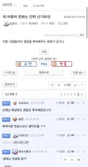 신기한 버튜버 문화