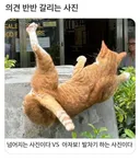 의견 반반 갈리는 사진