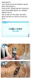 중국에서 블루아카이브 콜라보가 취소된 이유