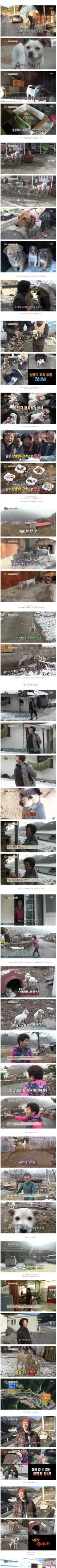 동물농장 역사상 가장 성공한 수컷