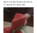 엄마가 수박 케익 먹으래서.jpg