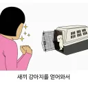 시어머니 기일에 태어난 반려견을 어머니로 믿는 엄마