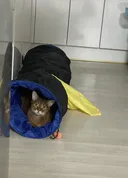 에어컨 고장..