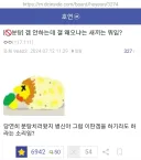 게임도 안하는사람이 커뮤니티에 와서 왜 분탕질이예요?